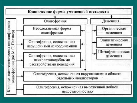 Современная система организации обучения детей с интеллектуальными нарушениями. Классификации умственной отсталости. Современная система организации обучения детей с интеллектуальными нарушениями. Классификации умственной отсталости.
